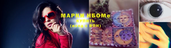 apvp Алексин