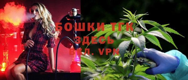 дмт Алексеевка
