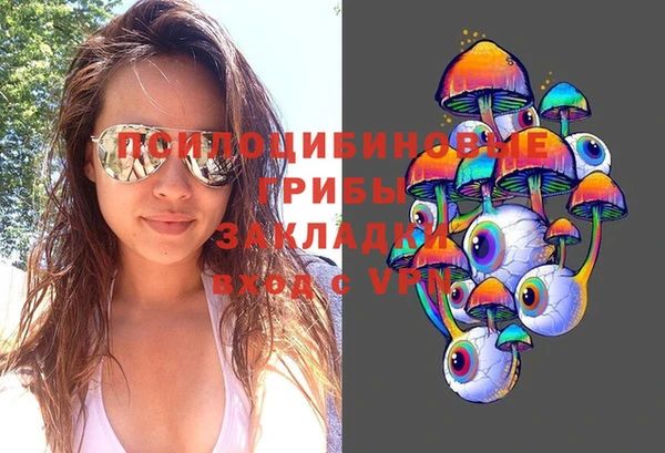 винт Алзамай