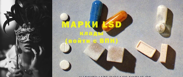 apvp Алексин